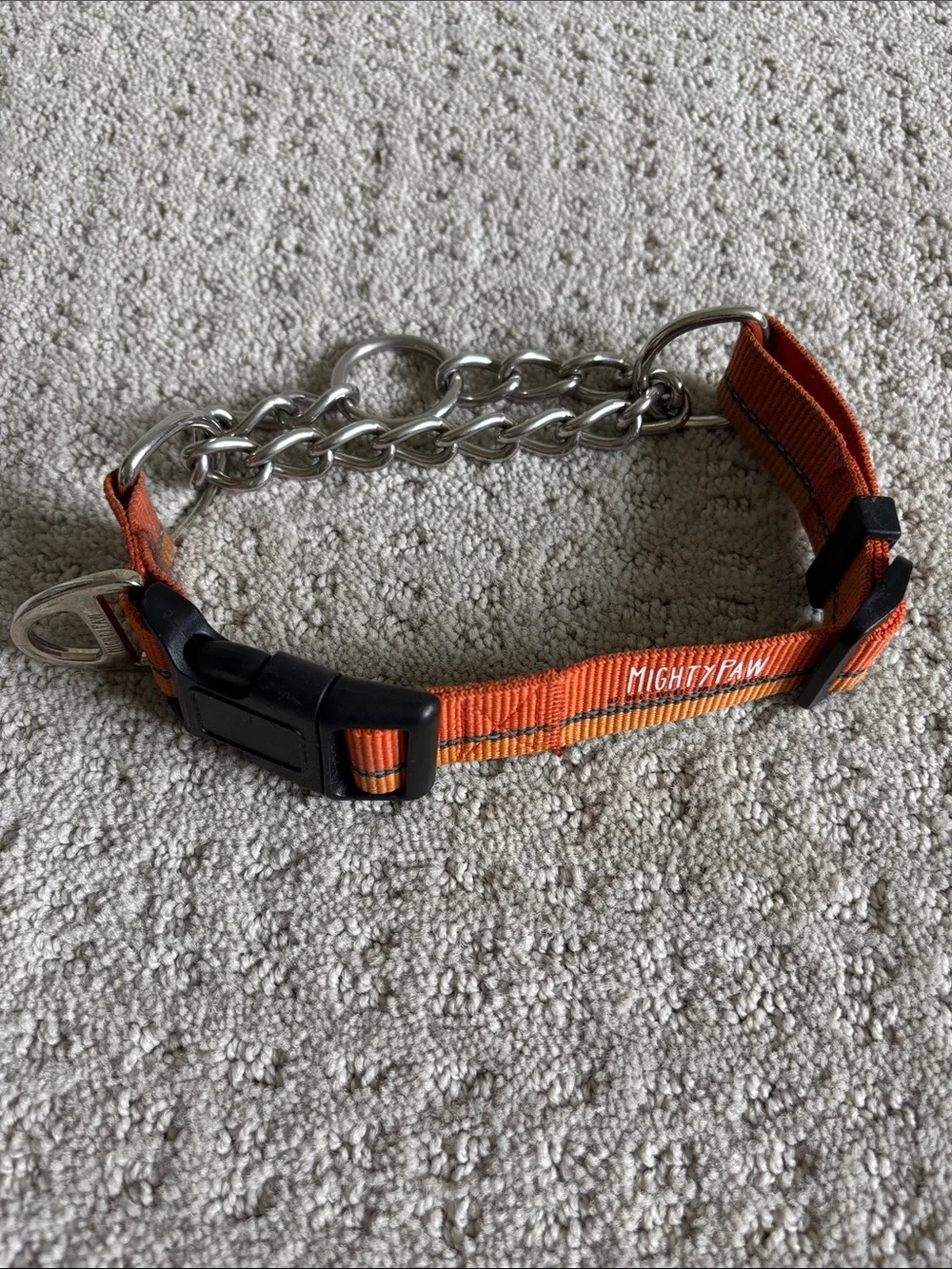 Orange Martingale Dog Collar with Chain